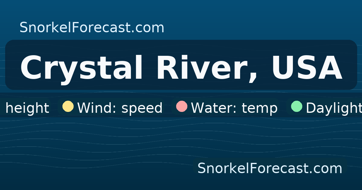 Crystal River Snorkel Report Today | Conditions & 3-Day Forecast